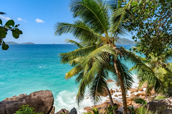 Superbe Nature Sur Une Île Tropicale Paradisiaque Avec Des Palmiers — Photo