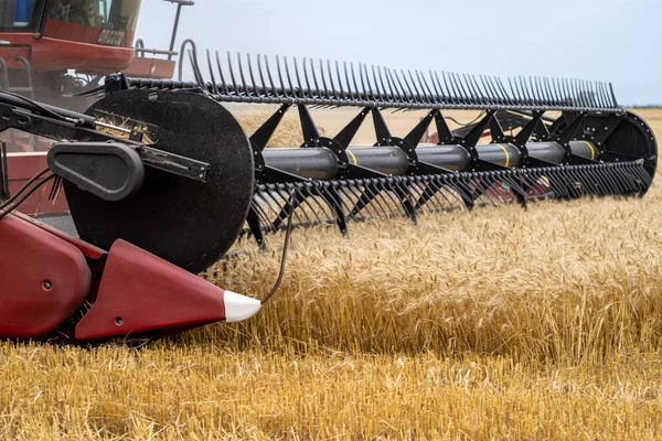 Agricultural Harvester Machine Harvesting Wheat Field — Stock Photo, Image