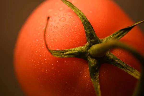 이슬방울이 토마토를 클로즈업 — 스톡 사진