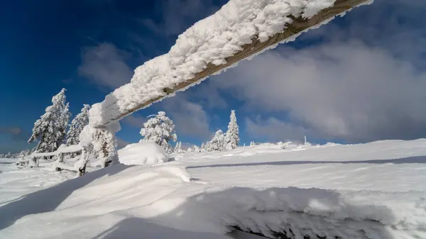 Krásný Výhled Černý Les Pokrytý Sněhem Černém Lese — Stock fotografie