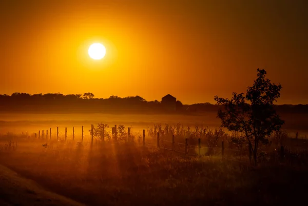 Ένα Όμορφο Ηλιοβασίλεμα Στα Λιβάδια Σκόνη Στον Αέρα — Φωτογραφία Αρχείου