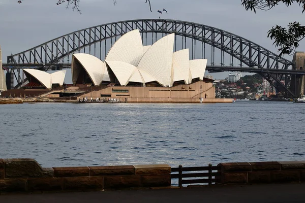 Puerto Sydney Visto Con Puente Del Puerto Fondo — Foto de Stock