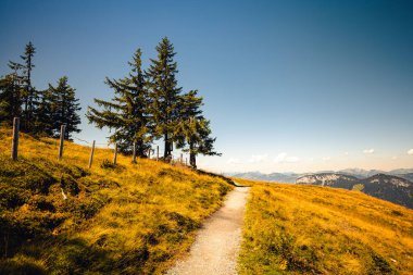 Mavi gökyüzünün altında ağaçlarla dolu bir tepedeki güzel bir yol manzarası.