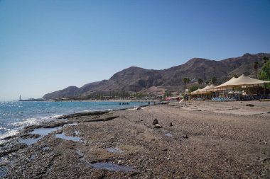 Eilat, İsrail 'deki mercan plajının sakin bir manzarası.