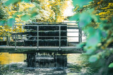 Güneşli bir günde, nehrin üzerinde ağaçlı bir köprü manzarası.