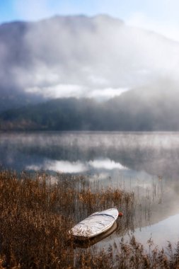 Göldeki bir teknenin dikey görüntüsü. Avusturya