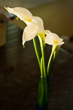 Masadaki vazoda taze beyaz zambaklar.