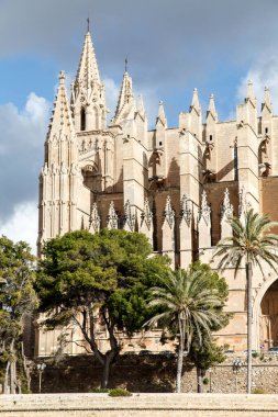İspanya 'nın Mayorka şehrinde güneşli bir günde antik bir katedralin dikey çekimi.