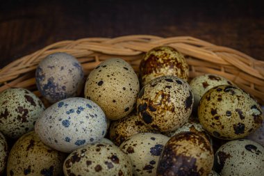 Sepetteki bıldırcın yumurtalarının yakın çekimi.