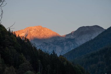 Kayalık dağ zirvelerinin gökyüzüne bakan görüntüsü.
