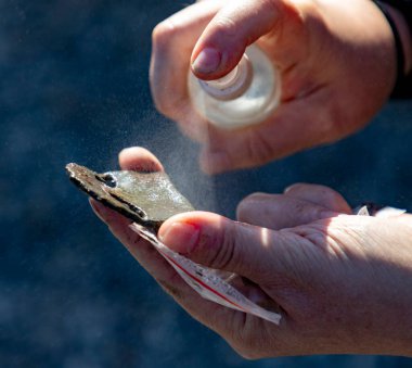 Bir adam Kuzey Jutland, Danimarka 'da bulunan detektörü temizlemek için kısırlaştırma kullanmış.