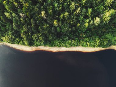 Süpürge Barajı 'ndaki yeşil sık ormanın kuş bakışı görüntüsü