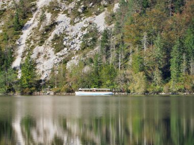 Güzel bir göl ve orman manzarası Bohinj Gölü.