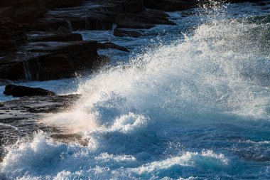 Güneşli bir günde kayaya çarpan bir dalga