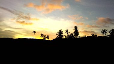 Siquijor, Filipinler 'deki bir tarlanın üzerinde gün batımının güzel bir görüntüsü.
