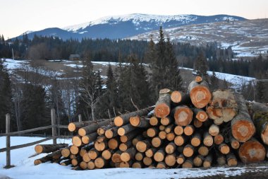Güzel bir dağ manzarası. Karlı bir orman ve mavi gökyüzü.