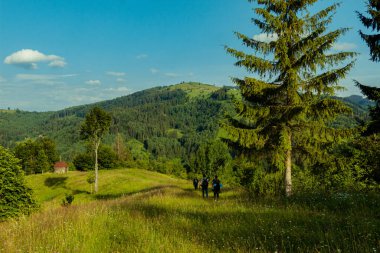 Bir grup yürüyüşçü orman manzarasına karşı yeşil alanda yürüyor.