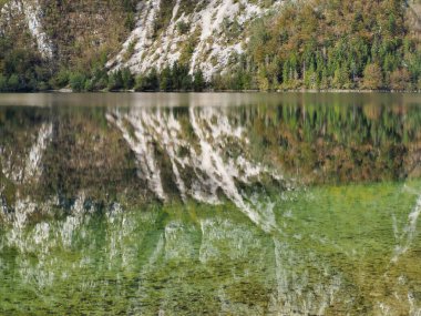 Slovenya, Bohinjsko 'daki Triglav Ulusal Parkı' ndaki göldeki kaya yansımasının güzel bir görüntüsü.