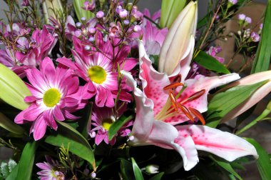 Güzel çiçeklerin yakın plan çekimi.