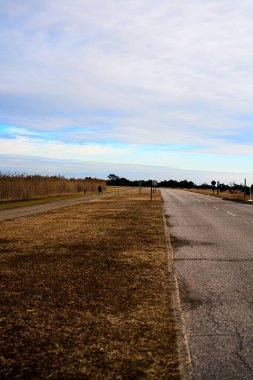 Bir yolun dikey çekimi ve arka planda ağaçlar ve bulutlu bir gökyüzü olan kuru otlar.