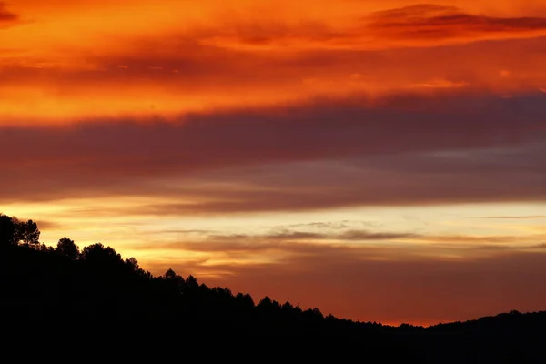 Красивый Снимок Яркого Закатного Неба Над Холмом Деревьями — стоковое фото