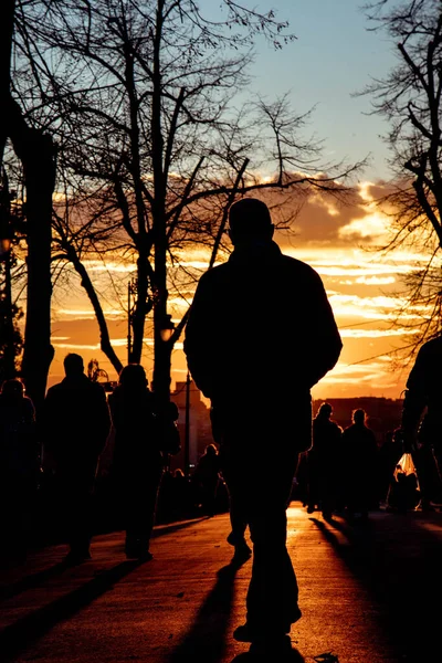 Вертикальный Снимок Силуэта Мужчины Идущего Парку Закате Золотого Неба — стоковое фото