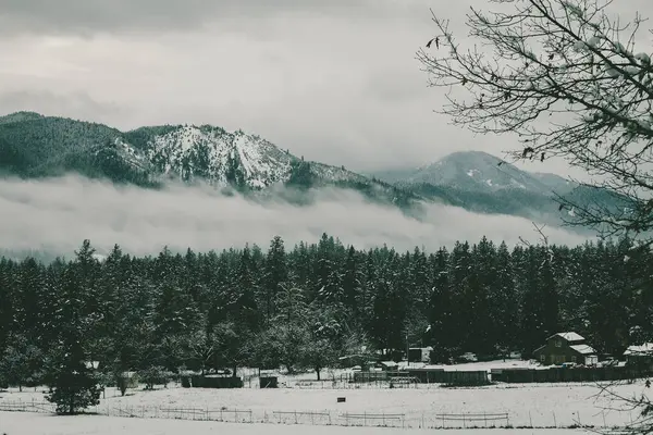 Uma Montanha Coberta Neve Com Nevoeiro Cheia Árvores Verdes — Fotografia de Stock