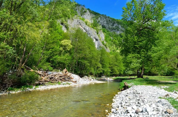 Una Hermosa Toma Del Río Gradac Bosque Serbia — Foto de Stock