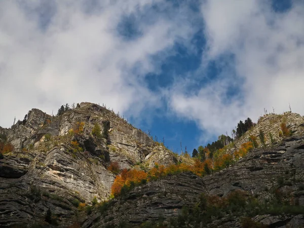 Uma Bela Vista Das Montanhas Bohinj Eslovênia Coberta Pela Floresta — Fotografia de Stock