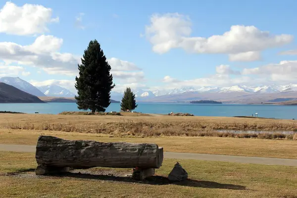 Gündüz Vakti Yeni Zelanda Tekapo Gölü Önünde Ahşap Bir Bank — Stok fotoğraf