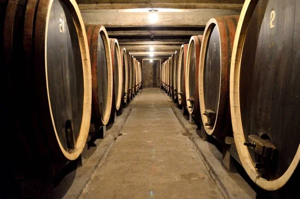 ワインボールトの列のワイン樽のパースペクティブショット — ストック写真