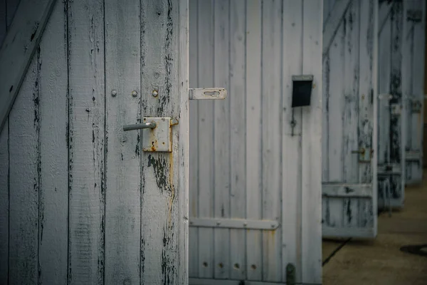 Line Old Wooden Textured White Doors — Stock Photo, Image