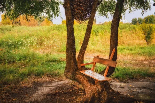 ブカレストのVacarestiデルタの木に建てられた木製のベンチ — ストック写真