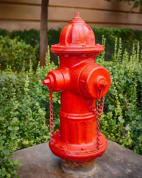 Primer Plano Una Boca Incendios Roja Con Arbustos Detrás —  Fotos de Stock