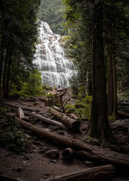 Uma Cachoeira Cênica Nas Montanhas Rochosas Canadá — Fotografia de Stock