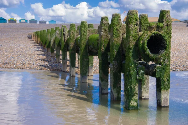 Una Bella Foto Pietre Ricoperte Muschio Verde Una Spiaggia Sabbia — Foto Stock