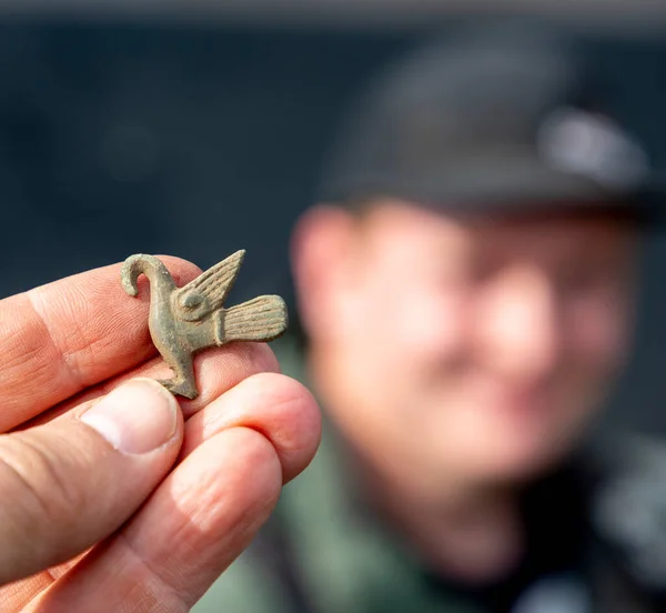 Een Close Shot Van Viking Age Vogel Broche Brons — Stockfoto