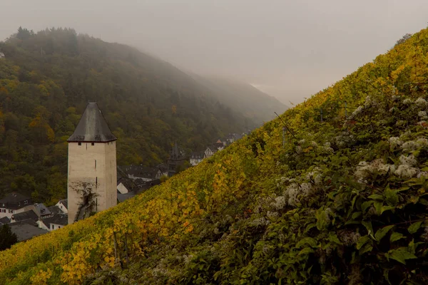 Città Bacharach Nel Distretto Mainz Bingen Della Renania Palatinato Germania — Foto Stock