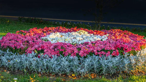 Flower Bed Roadside Circular Form — Stock Photo, Image