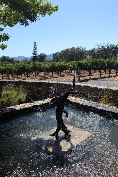 美国加利福尼亚州纳帕谷的一种树形式的创造性喷泉的垂直截图 — 图库照片