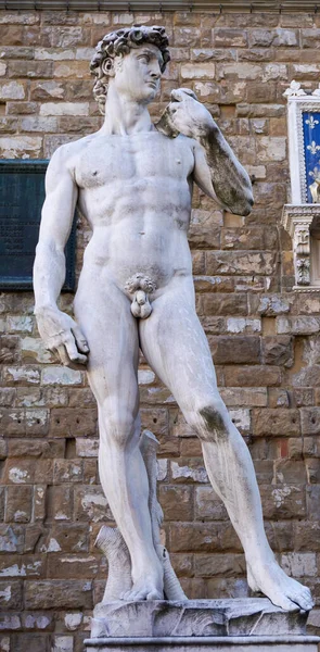 Вертикальный Снимок Копии Статуи Давида — стоковое фото