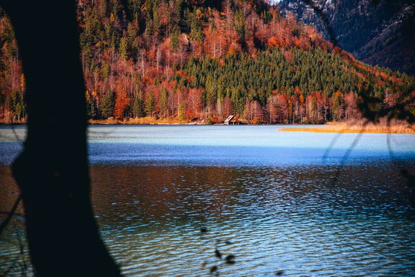 Une Belle Vue Sur Lac Avec Des Arbres Arrière Plan — Photo