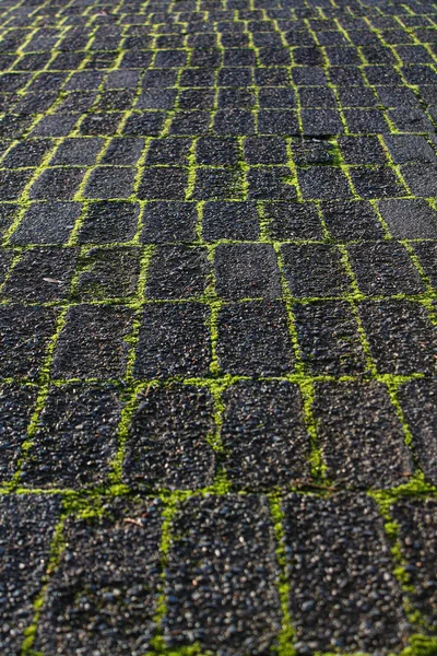 Arasında Yeşil Çimlerin Büyüdüğü Taşlı Bir Yüzeye Yakın Çekim — Stok fotoğraf