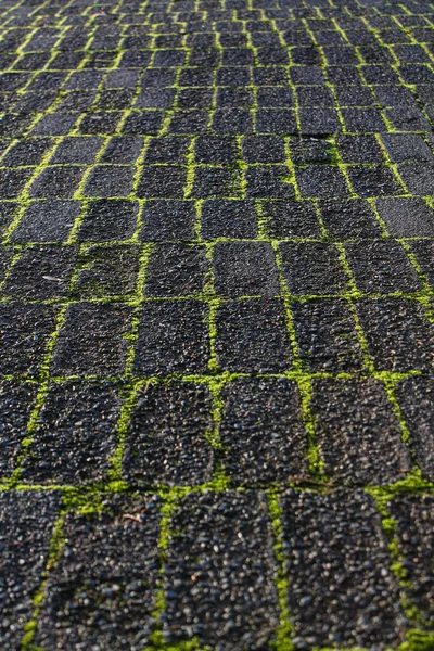 Gros Plan Une Surface Pierreuse Avec Herbe Verte Qui Pousse — Photo