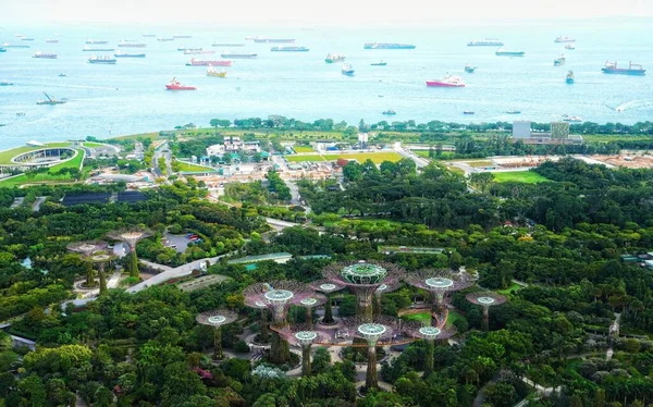 Widok Lotu Ptaka Bujnej Zieleni Marina Bay Garden Singapurze Łodzi — Zdjęcie stockowe