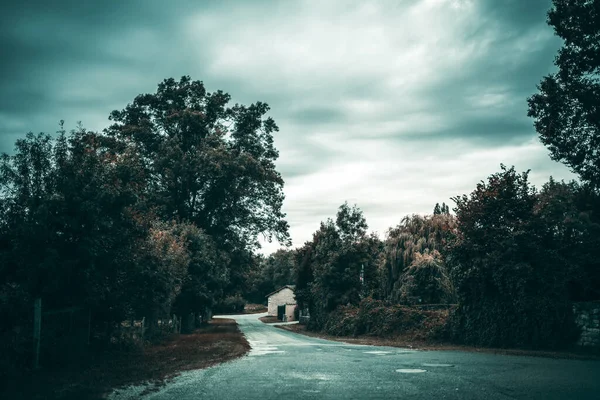 Road Surrounded Dense Tress Small Building Gloomy Day — Stock Photo, Image