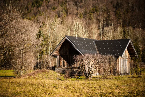 Eine Kleine Holzhütte Grünen Umgeben Von Bäumen — Stockfoto