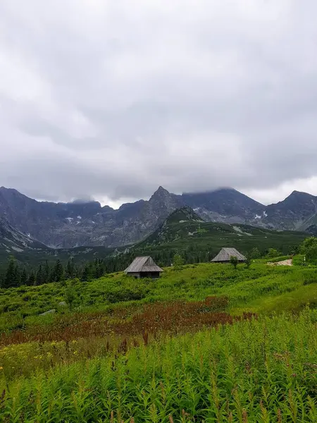 Красивый Снимок Пейзажа Облачным Небом — стоковое фото