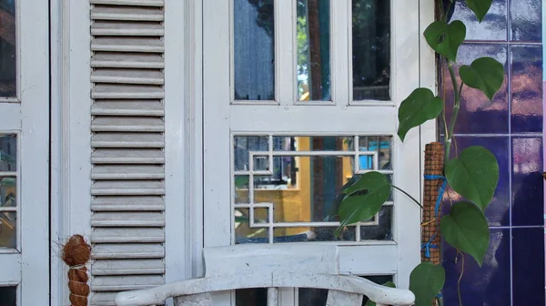 Белое Окно Снаружи Балконе Растением — стоковое фото