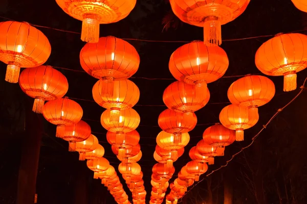 Egy Lámpás Park Chengdu Városában Kínában Éjszaka — Stock Fotó
